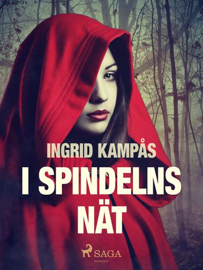 I spindelns nät