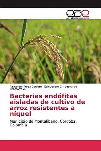Bacterias endófitas aisladas de cultivo de arroz resistentes a níquel