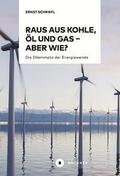 Raus aus Kohle, Öl und Gas - aber wie?