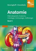 Anatomie 1