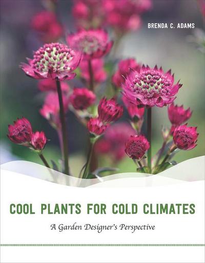 Cool Plants for Cold Climates: A Garden Designer’s Perspective