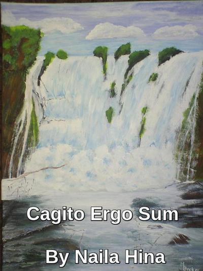 Cagito Ergo Sum