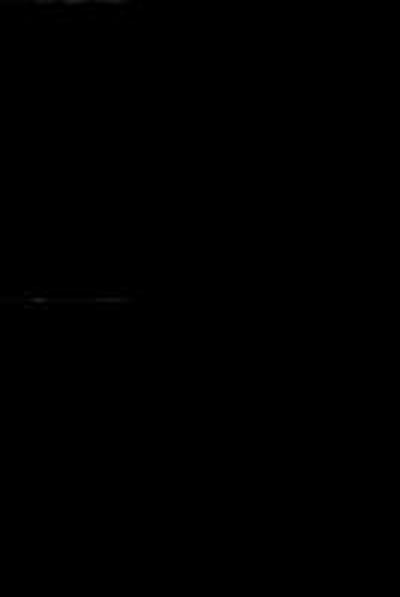 The Persuasive Power of Campaign Advertising