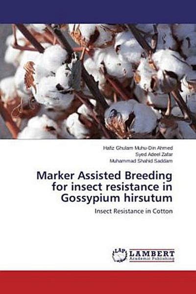 Marker Assisted Breeding for insect resistance in Gossypium hirsutum