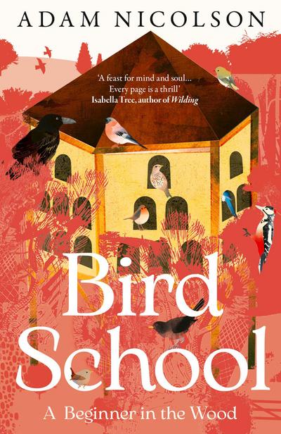 Bird School