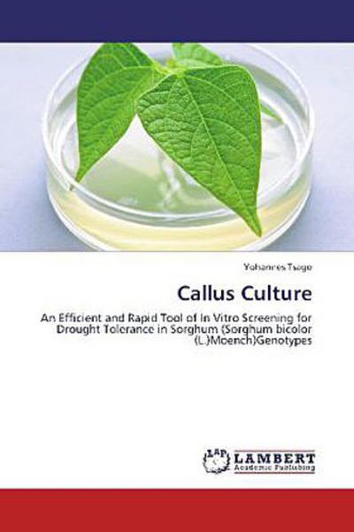 Callus Culture