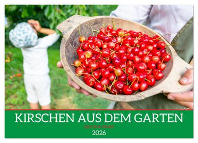 Kirschen aus dem Garten - Erntekalender (Tischkalender 2026 DIN A5 quer), CALVENDO Monatskalender