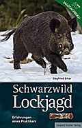 Lockjagd auf Schwarzwild
