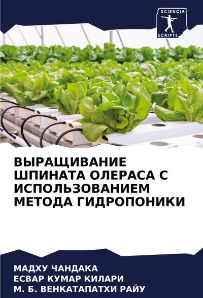 VYRAShhIVANIE ShPINATA OLERASA S ISPOL’ZOVANIEM METODA GIDROPONIKI