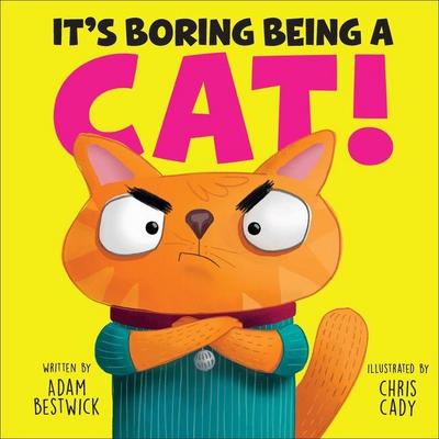 It’s Boring Being a Cat!