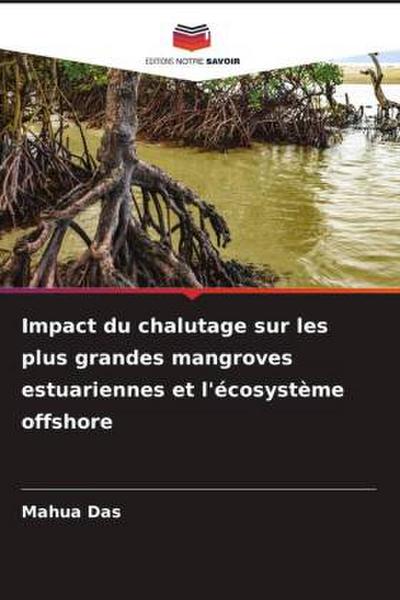 Impact du chalutage sur les plus grandes mangroves estuariennes et l’écosystème offshore