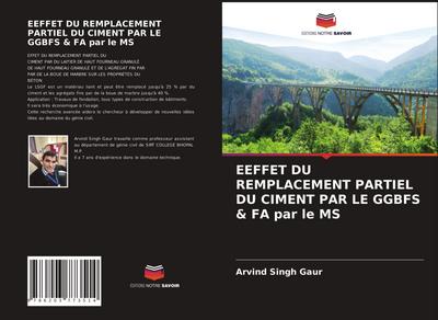 EEFFET DU REMPLACEMENT PARTIEL DU CIMENT PAR LE GGBFS & FA par le MS