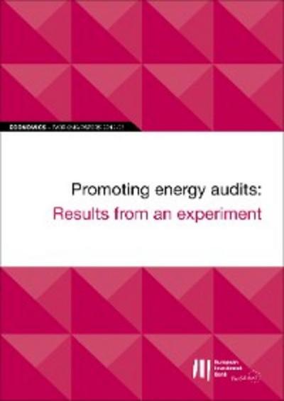 EIB Working Papers 2019/06 - Promoting energy audits: Results from an experiment