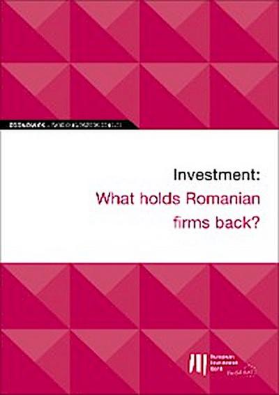 EIB Working Papers 2019/08 - Investment: What holds Romanian firms back?