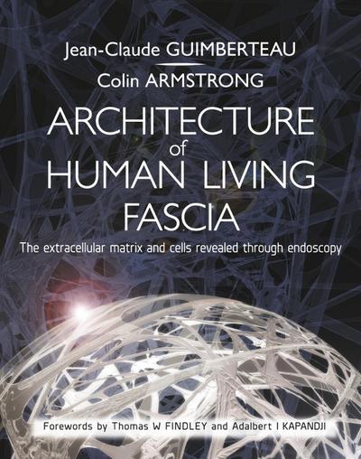 Architecture of Human Living Fascia