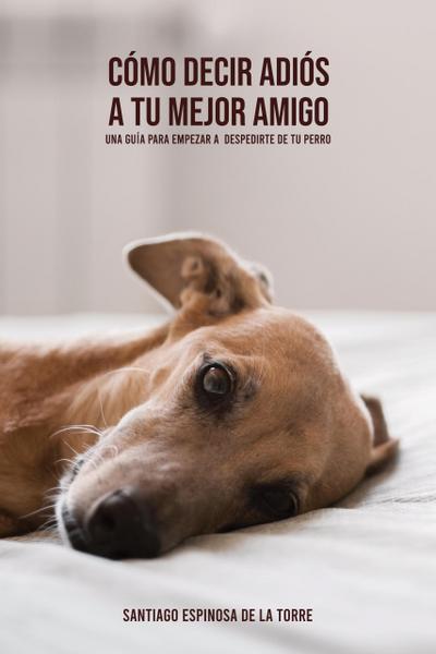 Cómo decir adiós a tu mejor amigo (Cómo afrontar el duelo tras la pérdida de tu mascota, #4)