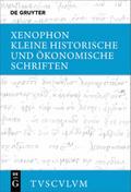 Kleine historische und ökonomische Schriften
