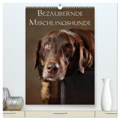Bezaubernde Mischlingshunde (hochwertiger Premium Wandkalender 2026 DIN A2 hoch), Kunstdruck in Hochglanz