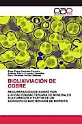 BIOLIXIVIACIÓN DE COBRE