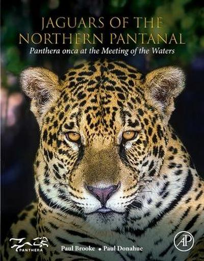 Jaguars of the Northern Pantanal
