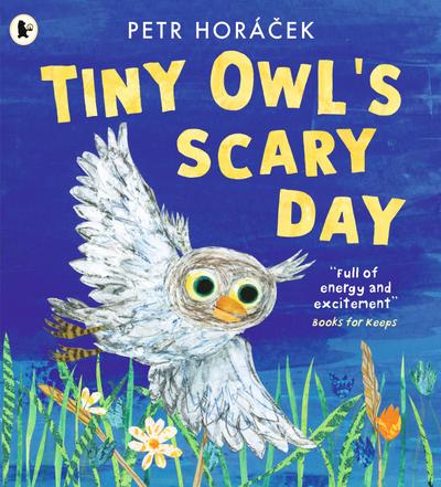 Tiny Owl’s Scary Day