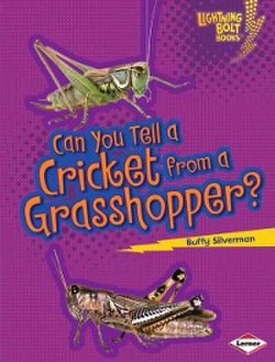 Can You Tell a Cricket from a Grasshopper?