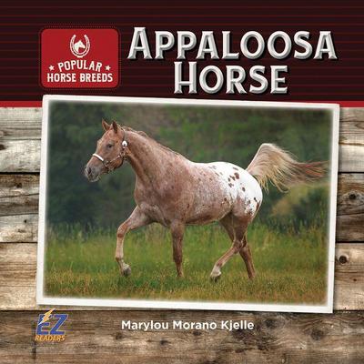 Appaloosa Horse