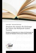 Analyse du réseau de drainage de l’oasis de 