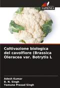 Coltivazione biologica del cavolfiore (Brassica Oleracea var. Botrytis L