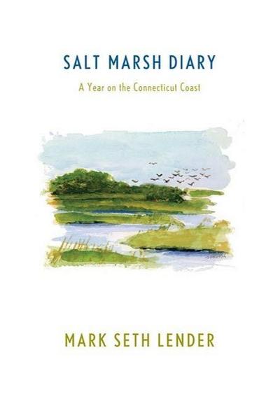 Salt Marsh Diary