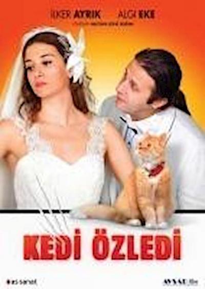 Kedi Özledi