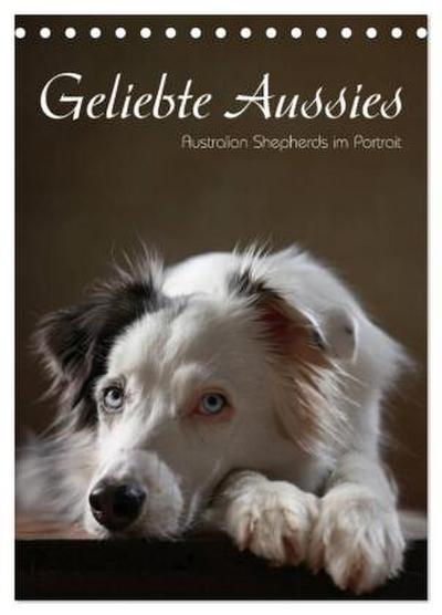 Geliebte Aussies - Australian Shepherds im Portrait (Tischkalender 2026 DIN A5 hoch), CALVENDO Monatskalender