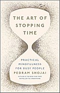 The Art of Stopping Time