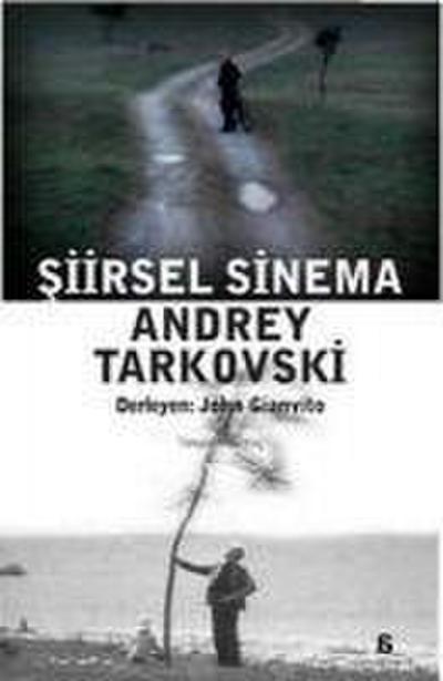 Siirsel Sinema