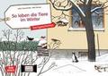 So leben die Tiere im Winter
