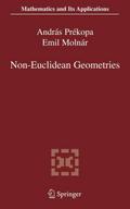 Non-Euclidean Geometries
