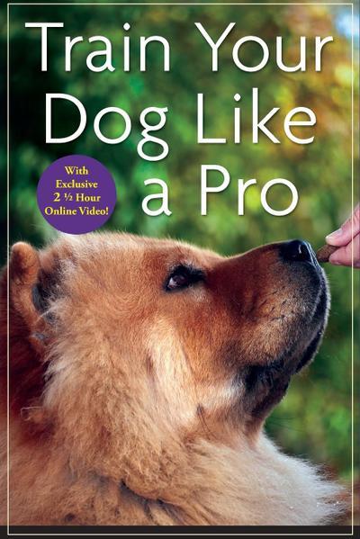 Train Your Dog Like a Pro