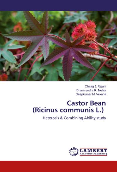 Castor Bean (Ricinus communis L.)