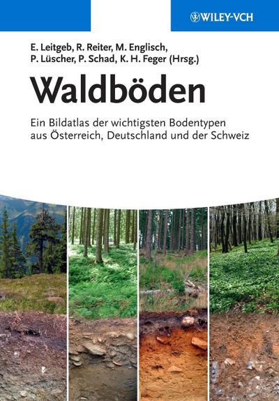 Waldböden
