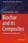 Biochar and its Composites