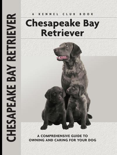 Chesapeake Bay Retriever