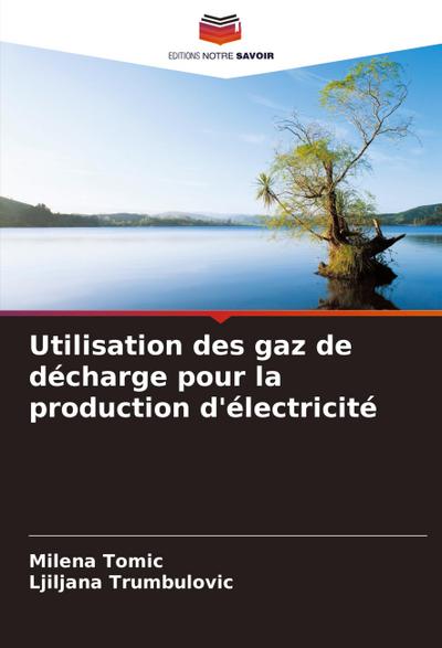 Utilisation des gaz de décharge pour la production d’électricité