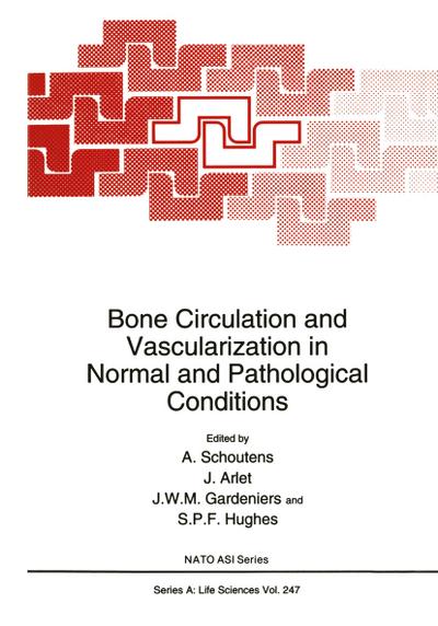 Bone Circulation and Vascularization in Normal and Pathological Conditions