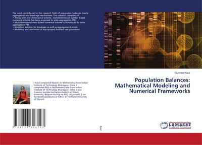 Population Balances: Mathematical Modeling and Numerical Frameworks
