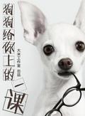 twenty tips to work efficiently  (Chinese Edition)