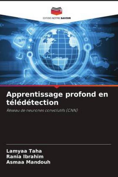 Apprentissage profond en télédétection