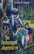 Im Dschungel abgestürzt