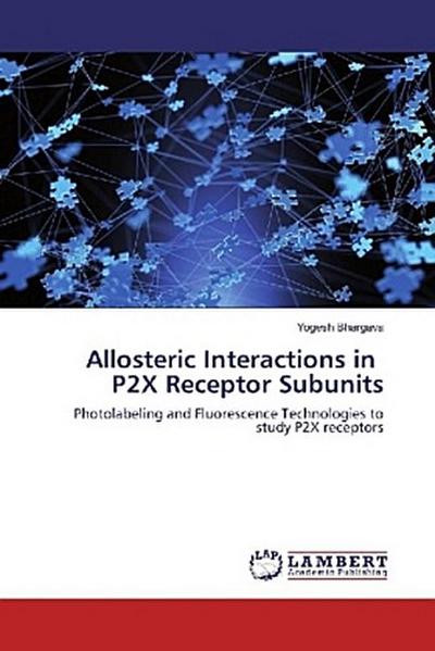 Allosteric Interactions in P2X Receptor Subunits
