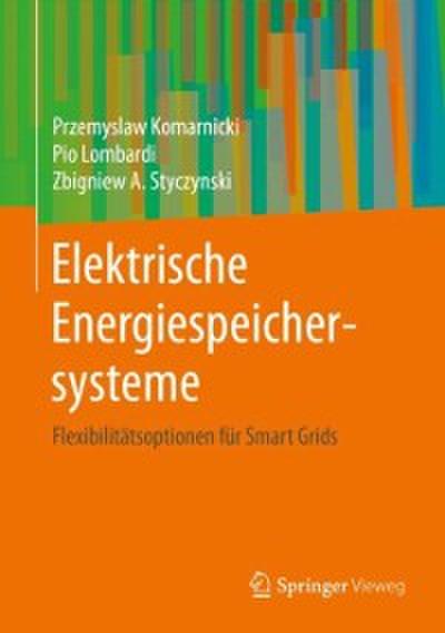 Elektrische Energiespeichersysteme