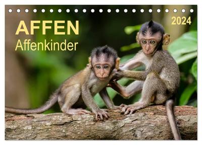 Affen - Affenkinder (Tischkalender 2024 DIN A5 quer), CALVENDO Monatskalender
